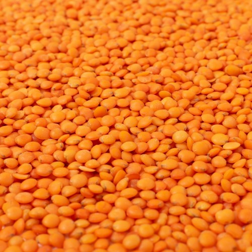 Malka Dal