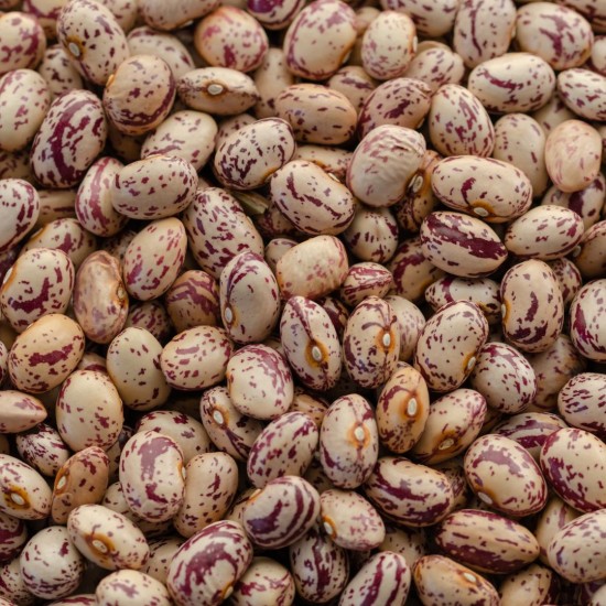 Rajma Chitra